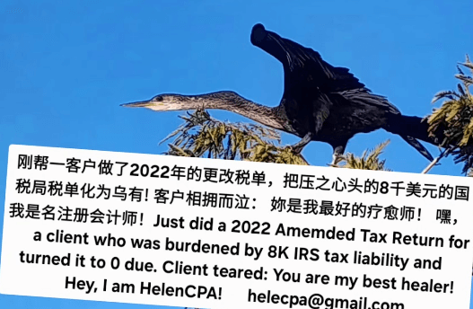 Helen CPA IRS ENROLLED AGENT - amemded tax return for a client